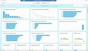 SAP Business One HANA SAP Business One HANA
