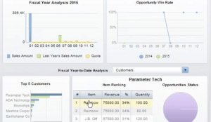 SAP Business One Sales Opportunity and CRM SAP Business One Sales Opportunity and CRM