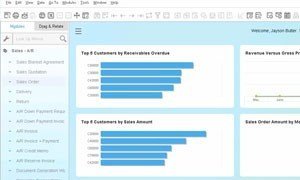 SAP Business One User Defined Table Enhancements