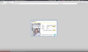 How to Add and edit the Chart of Accounts in SAP Business One