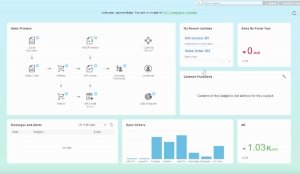 Allocating User Licenses in SAP Business One