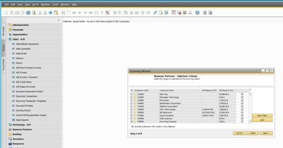 SAP Business One Dunning Wizard