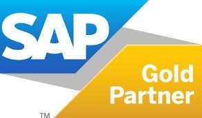 SAP Business One Partner Support Checklist