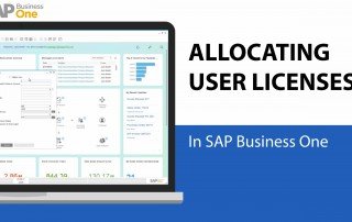 Allocating user licenses in SAP Business One 9.2