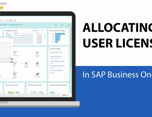 How to Allocate User Licenses in SAP Business One 9.2 [DEMO VIDEO]
