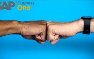 SAP Business One functionalities explained