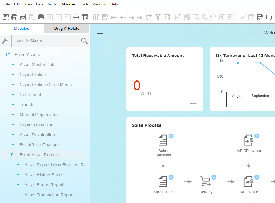 Creating Fixed Assets reports in SAP Business One