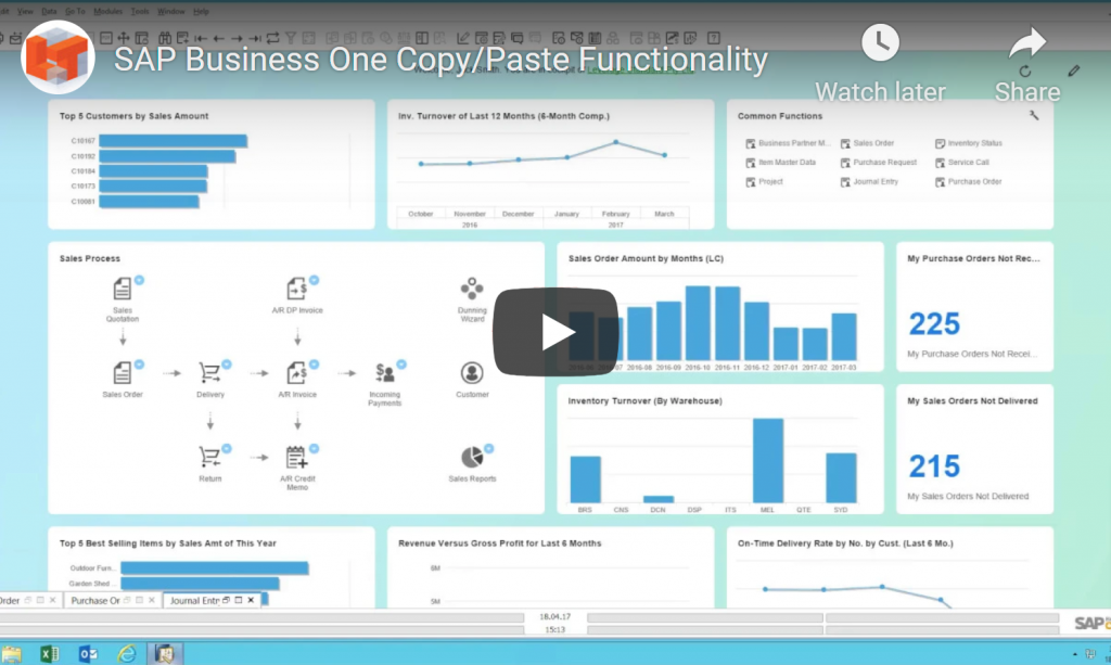 Copy-Paste Functionality in SAP Business One