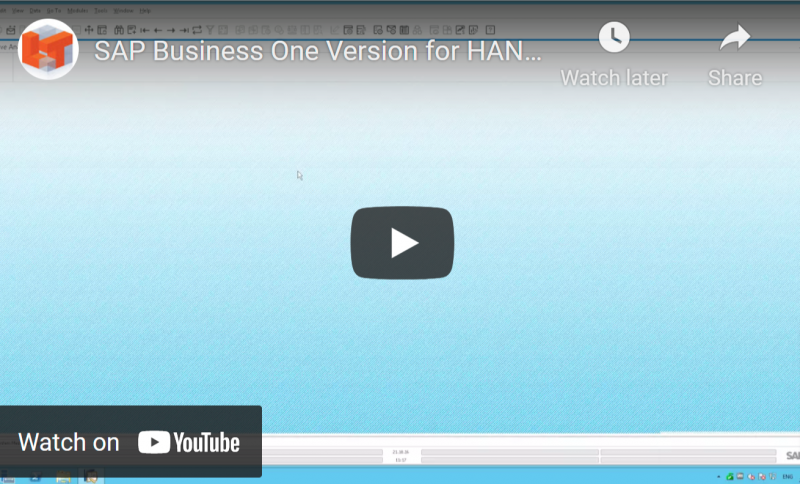 SAP Business One HANA Customer 360 Reporting